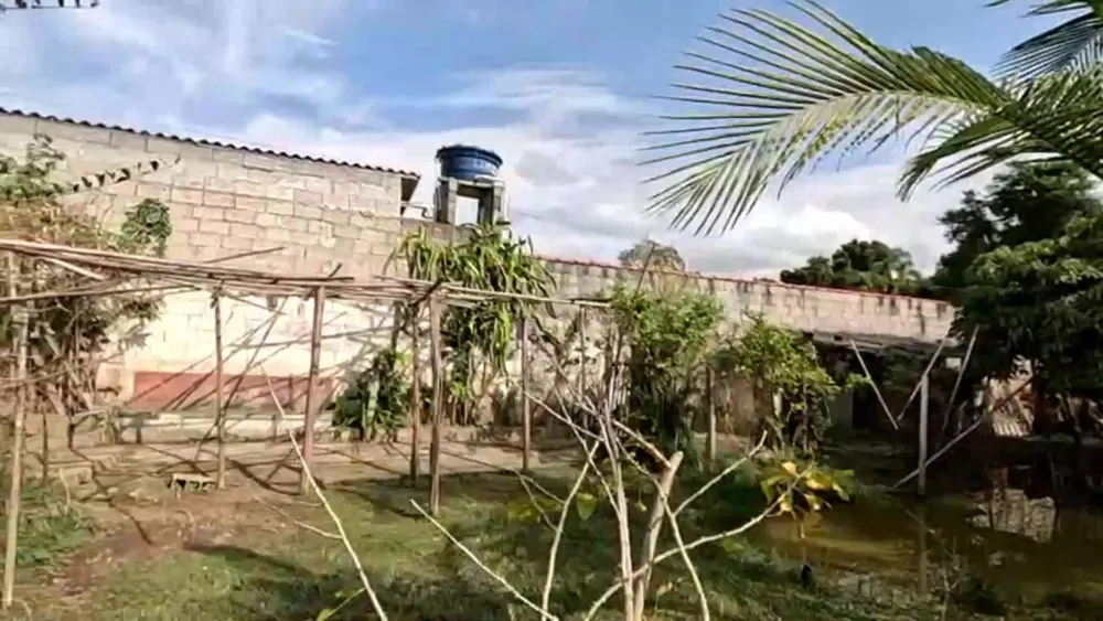Chácara, 3 quartos, 1500 m² - Foto 6