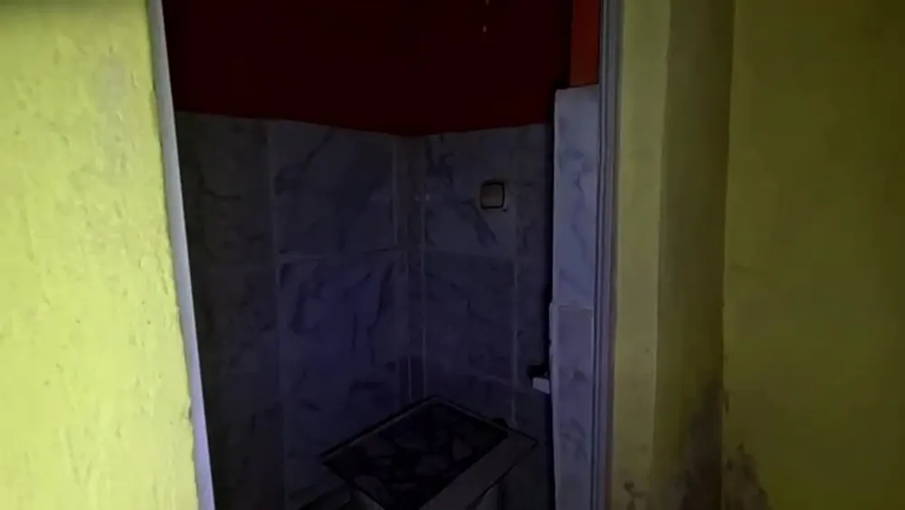 Chácara, 3 quartos, 1500 m² - Foto 4