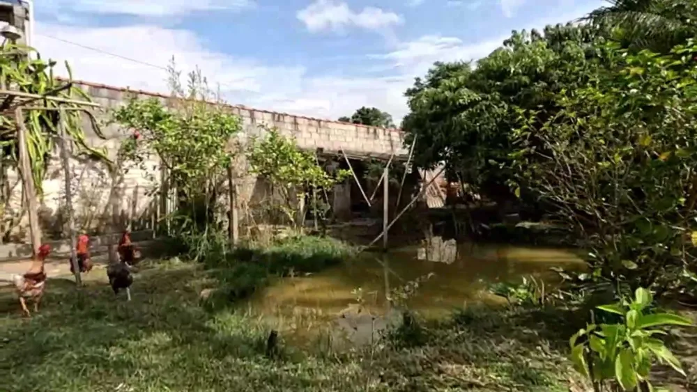 Chácara, 3 quartos, 1500 m² - Foto 3