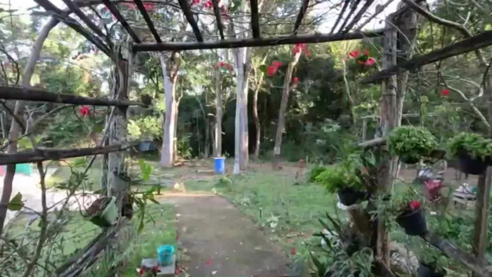 Chácara, 2 quartos, 2 hectares - Foto 6