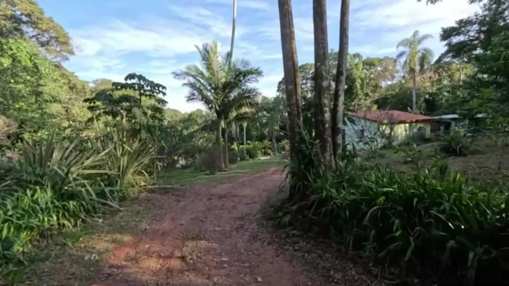 Chácara, 2 quartos, 2 hectares - Foto 2