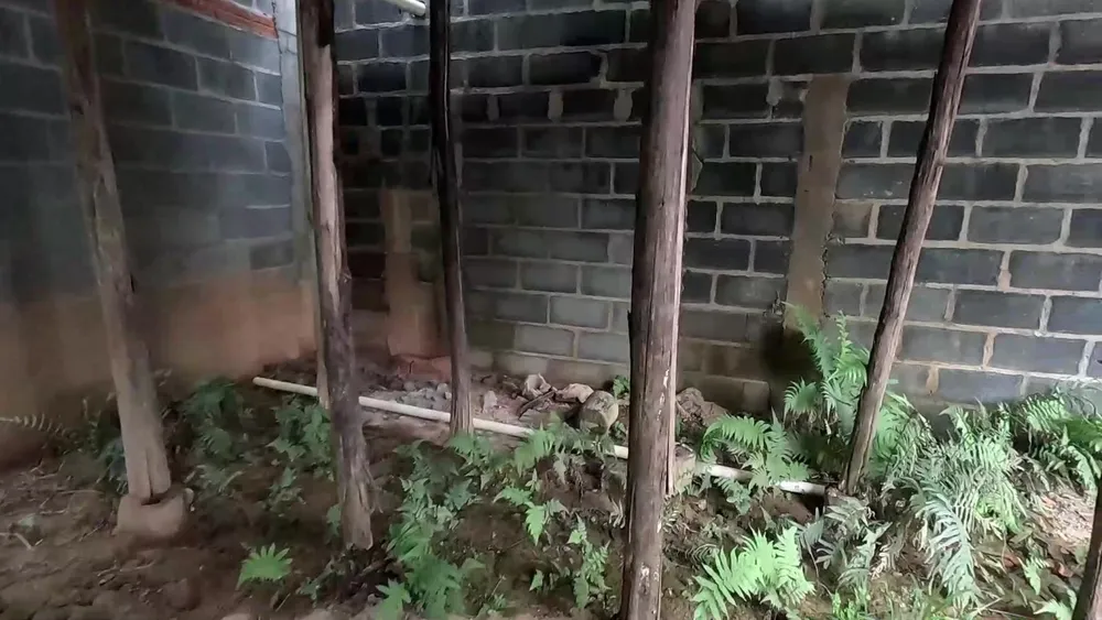 Chácara, 3 quartos, 2000 m² - Foto 10