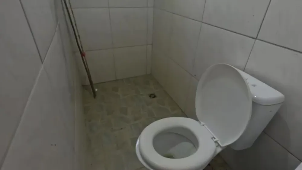 Chácara, 2 quartos, 4500 m² - Foto 6
