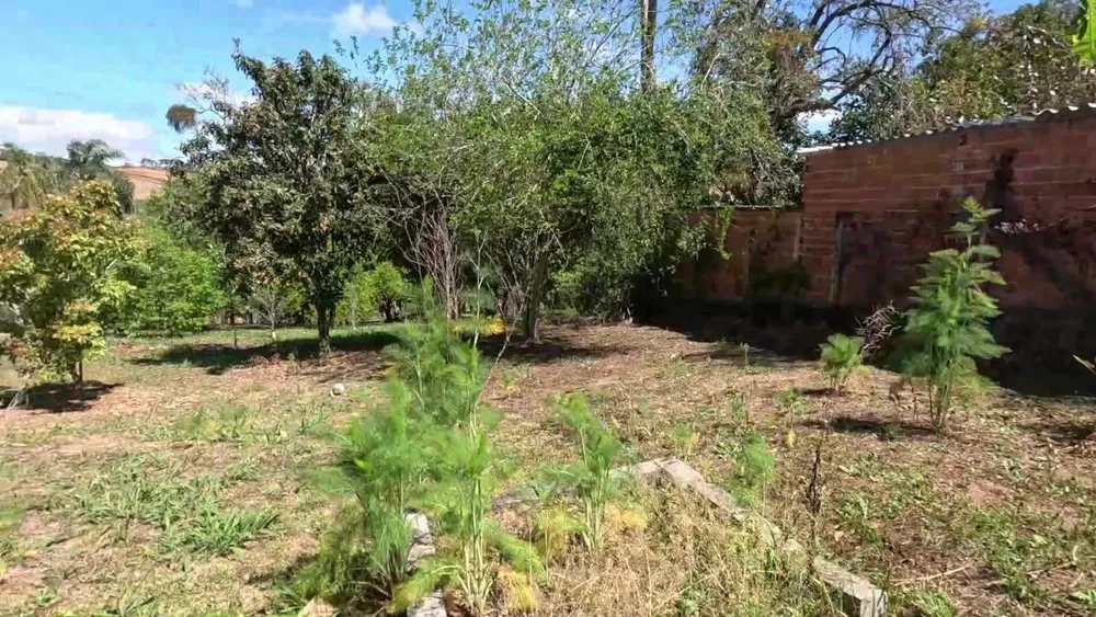 Chácara, 2 quartos, 4300 m² - Foto 12