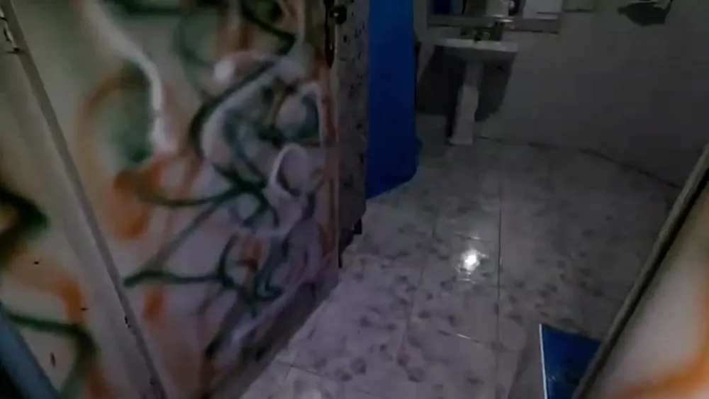 Chácara, 4 quartos - Foto 2