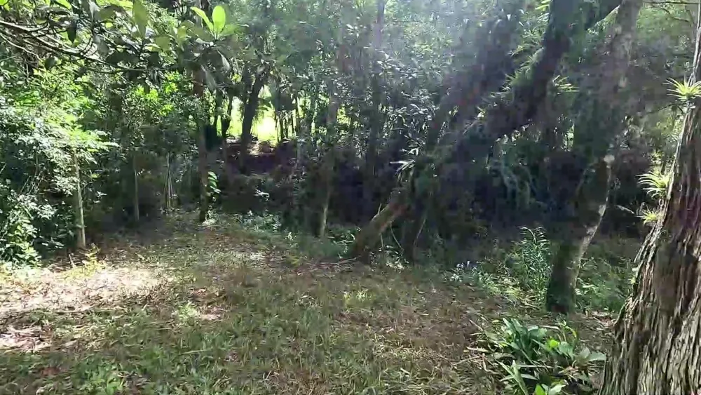 Casa de Condomínio - Foto 1