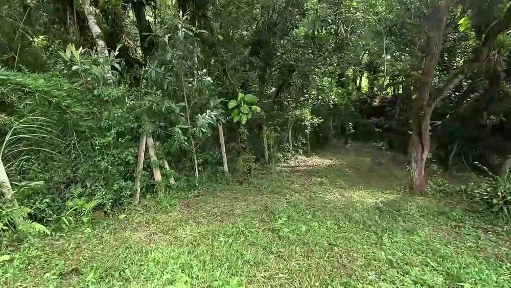 Casa de Condomínio - Foto 6
