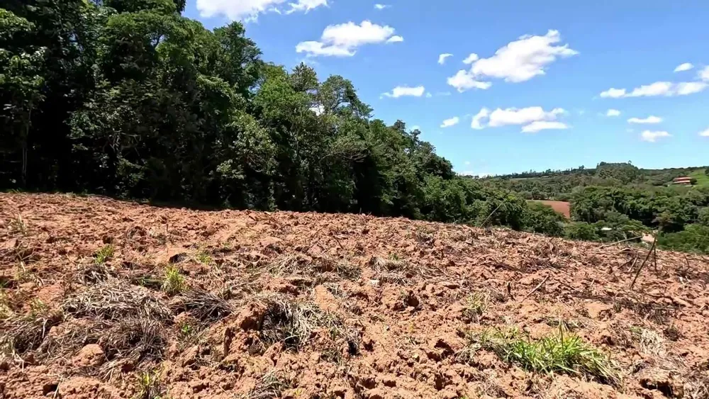 Chácara, 1 hectares - Foto 6
