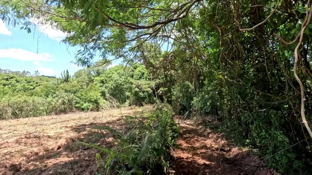 Chácara, 1 hectares - Foto 11