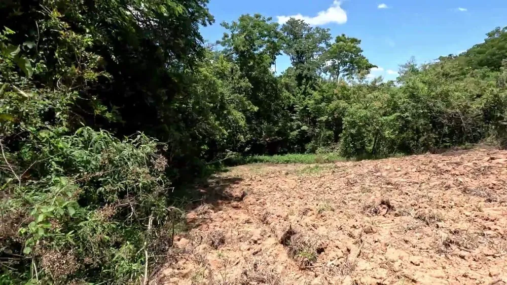 Sítio, 1 hectares - Foto 3