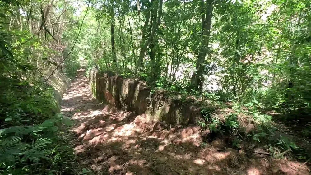 Sítio, 1 hectares - Foto 2