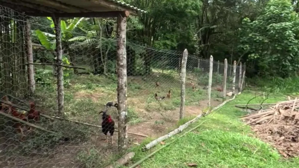Sítio, 3 quartos, 30 hectares - Foto 6