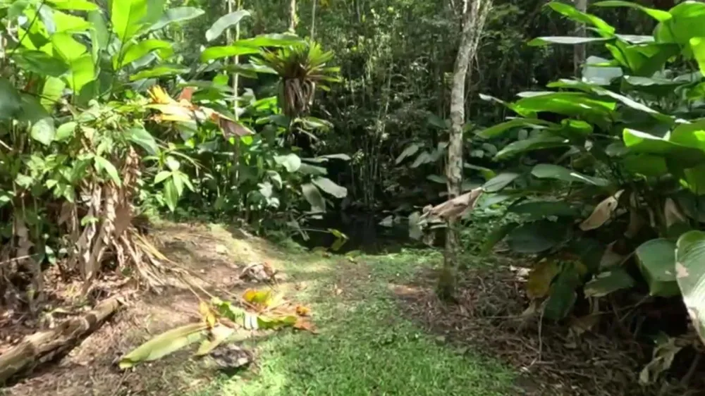 Sítio, 3 quartos, 30 hectares - Foto 4