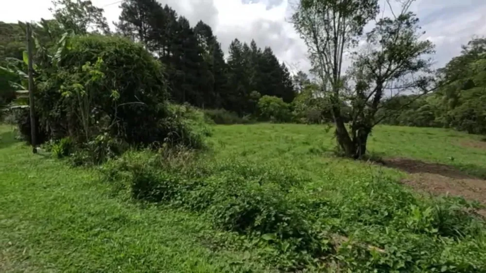 Sítio, 3 quartos, 30 hectares - Foto 8