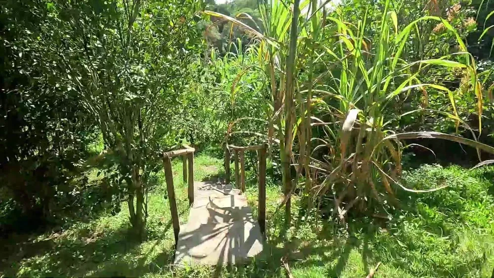 Casa de Condomínio, 1 quarto - Foto 7