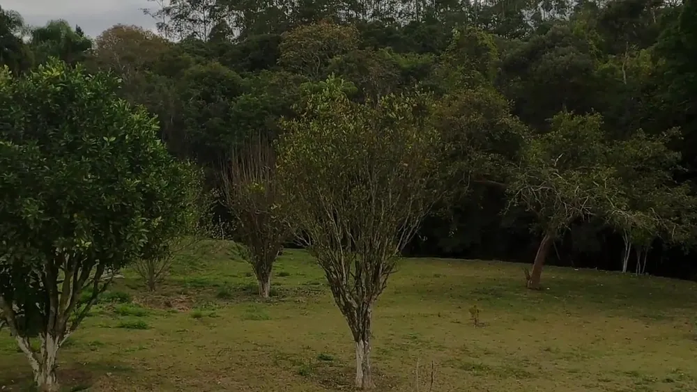Chácara, 1 quarto, 1200 m² - Foto 4
