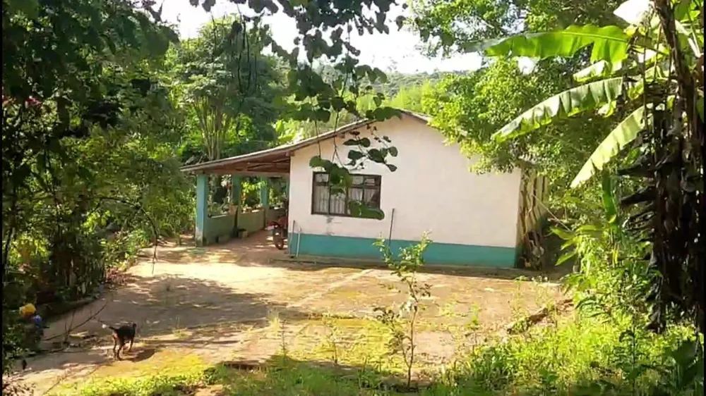 Chácara, 3 quartos, 9500 m² - Foto 2