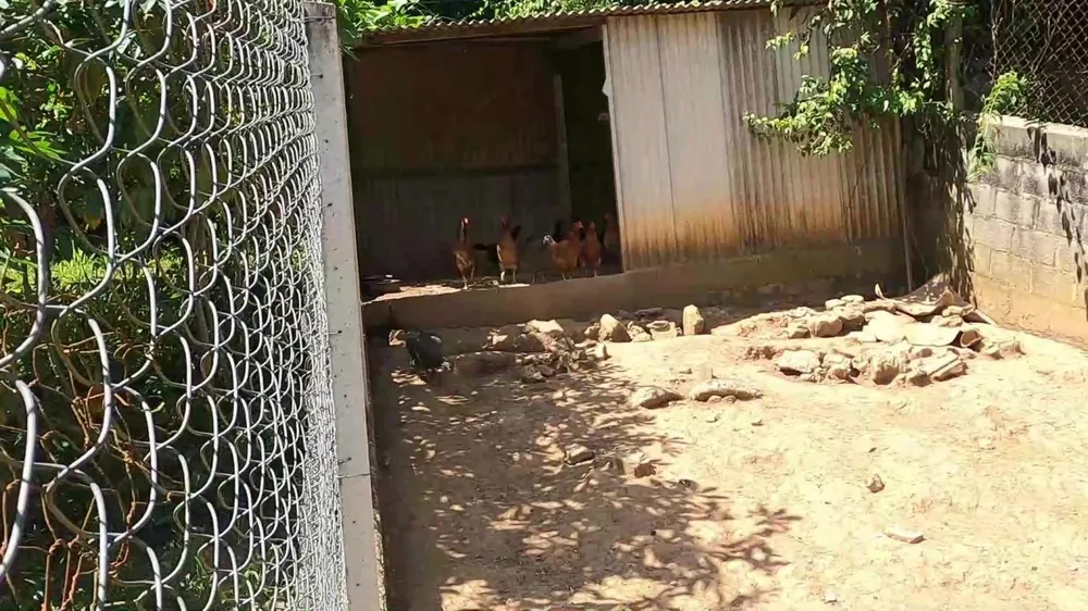 Chácara, 5 quartos, 2000 m² - Foto 11