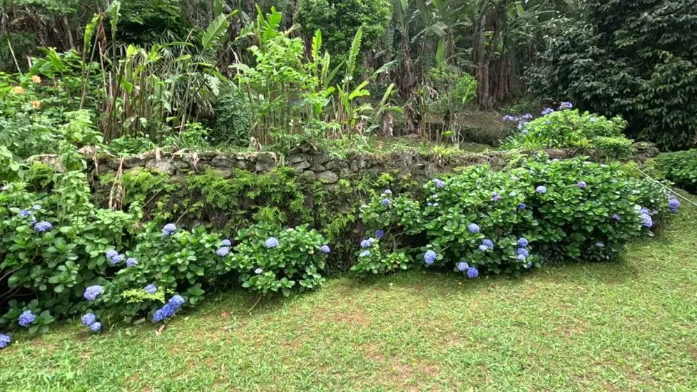 Chácara - Foto 4
