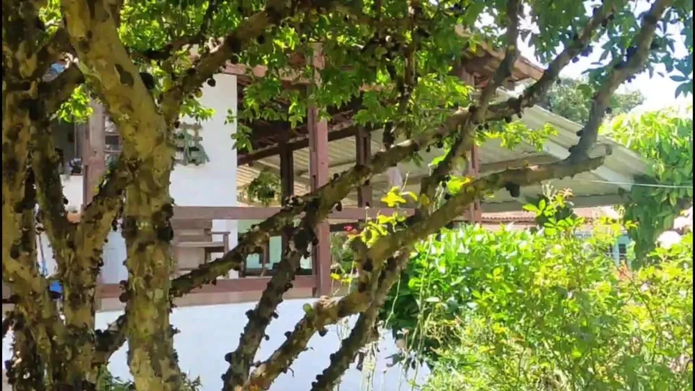 Chácara, 2 quartos, 1200 m² - Foto 6