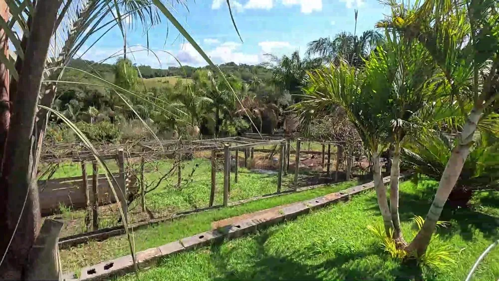 Sítio, 4 quartos, 2 hectares - Foto 3