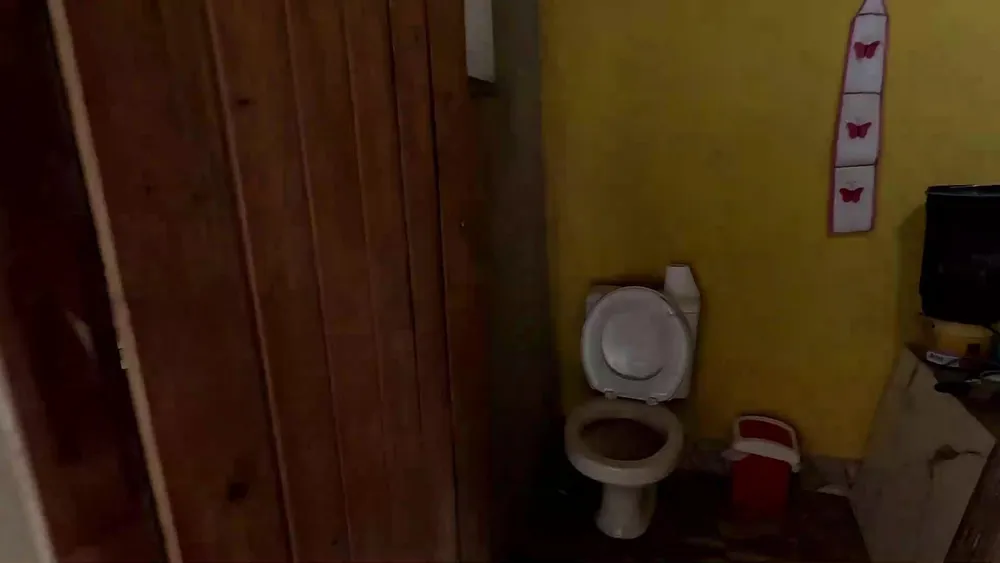 Chácara, 3 quartos, 1100 m² - Foto 2