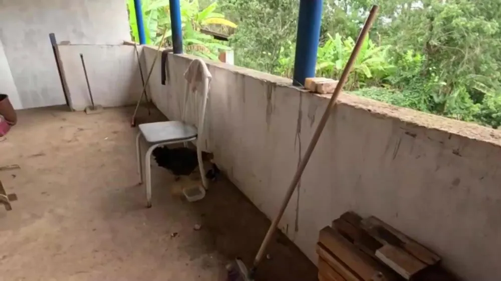 Chácara, 3 quartos, 1000 m² - Foto 12
