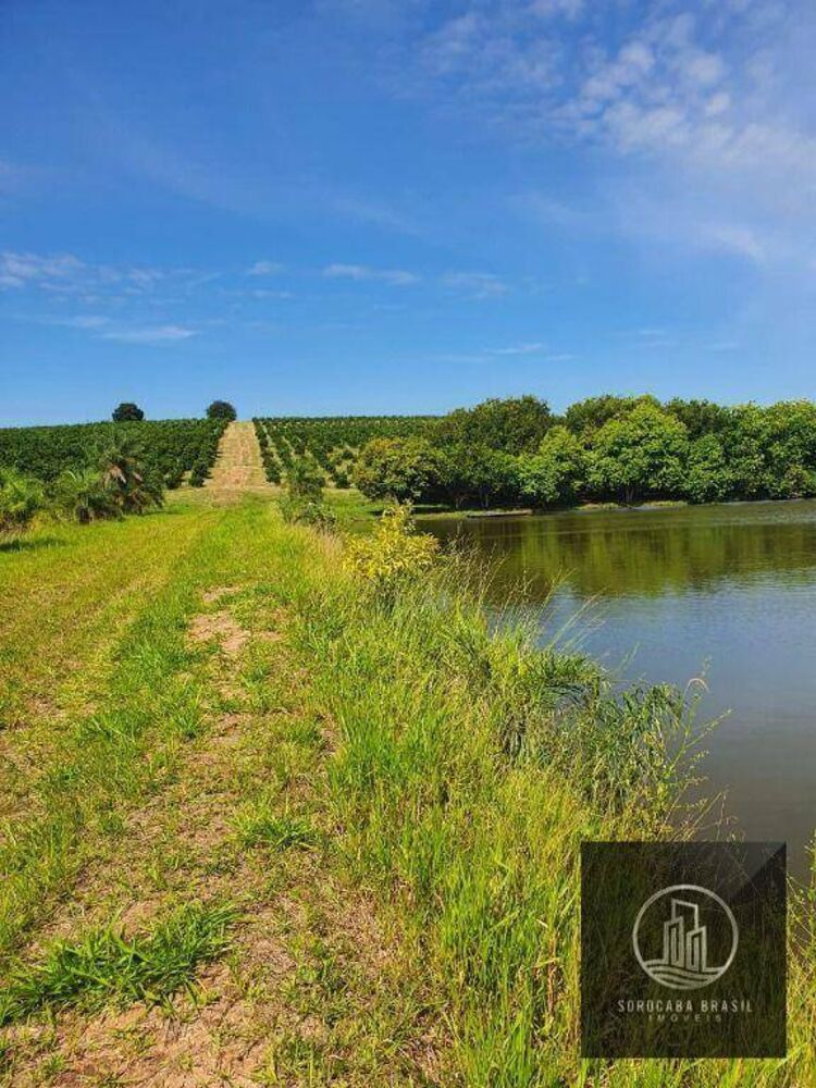 Fazenda-Sítio-Chácara, 324 hectares - Foto 6