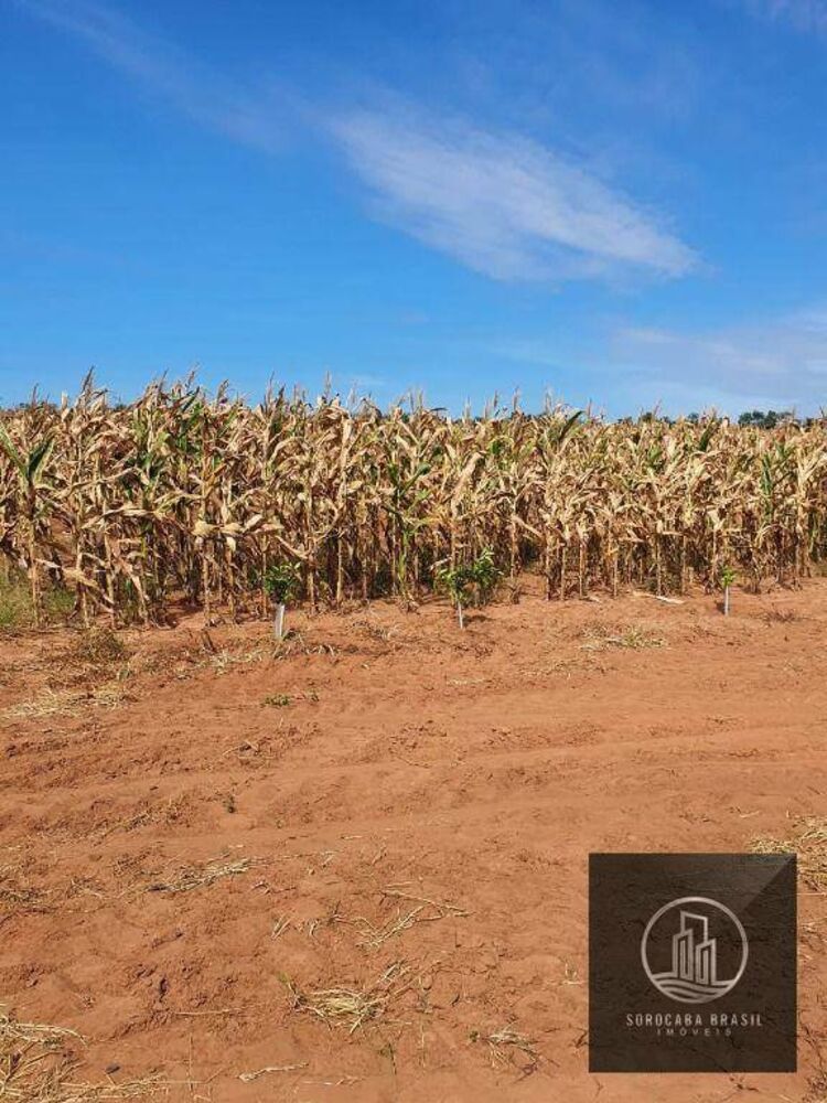 Fazenda-Sítio-Chácara, 324 hectares - Foto 7