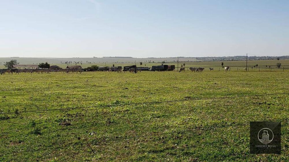 Fazenda-Sítio-Chácara, 324 hectares - Foto 4