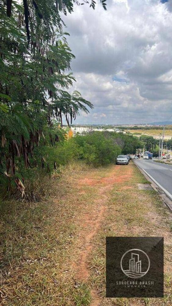 Terreno, 3 hectares - Foto 4