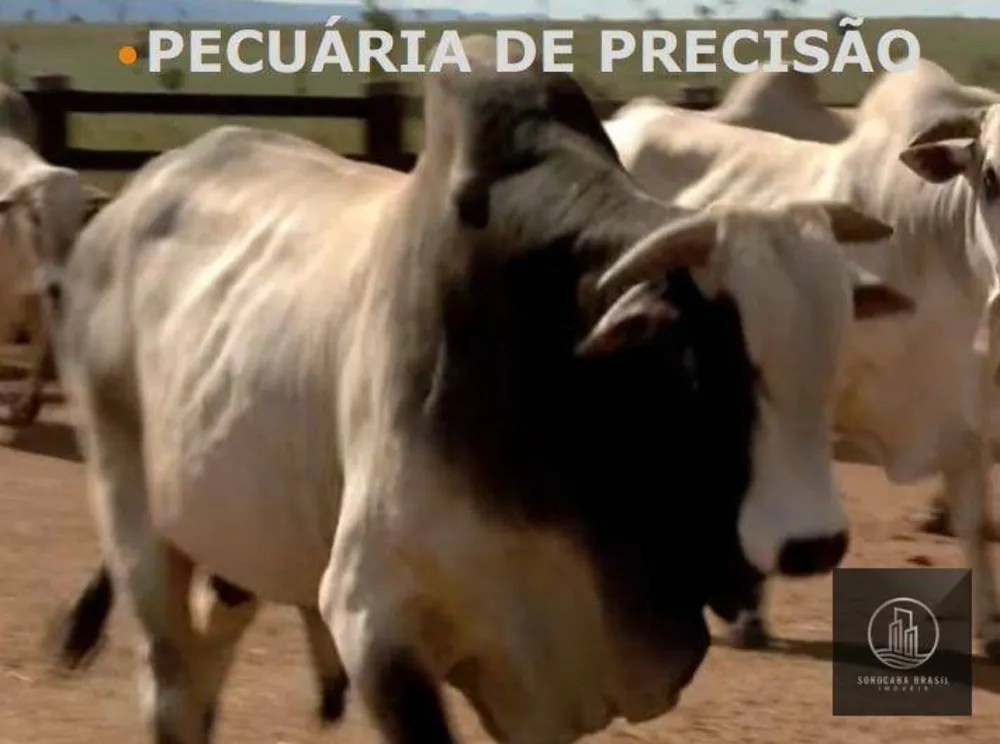 Fazenda, 427000 hectares - Foto 2