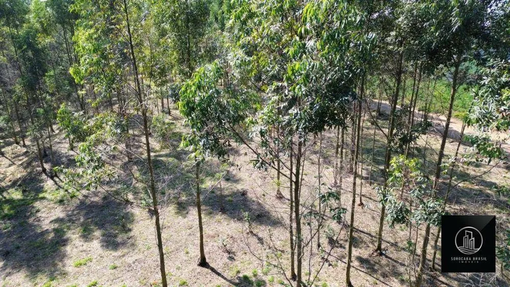 Terreno, 1000 m² - Foto 3