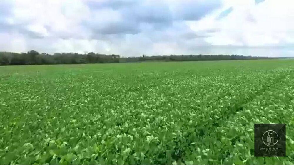 Fazenda, 89000 hectares - Foto 6