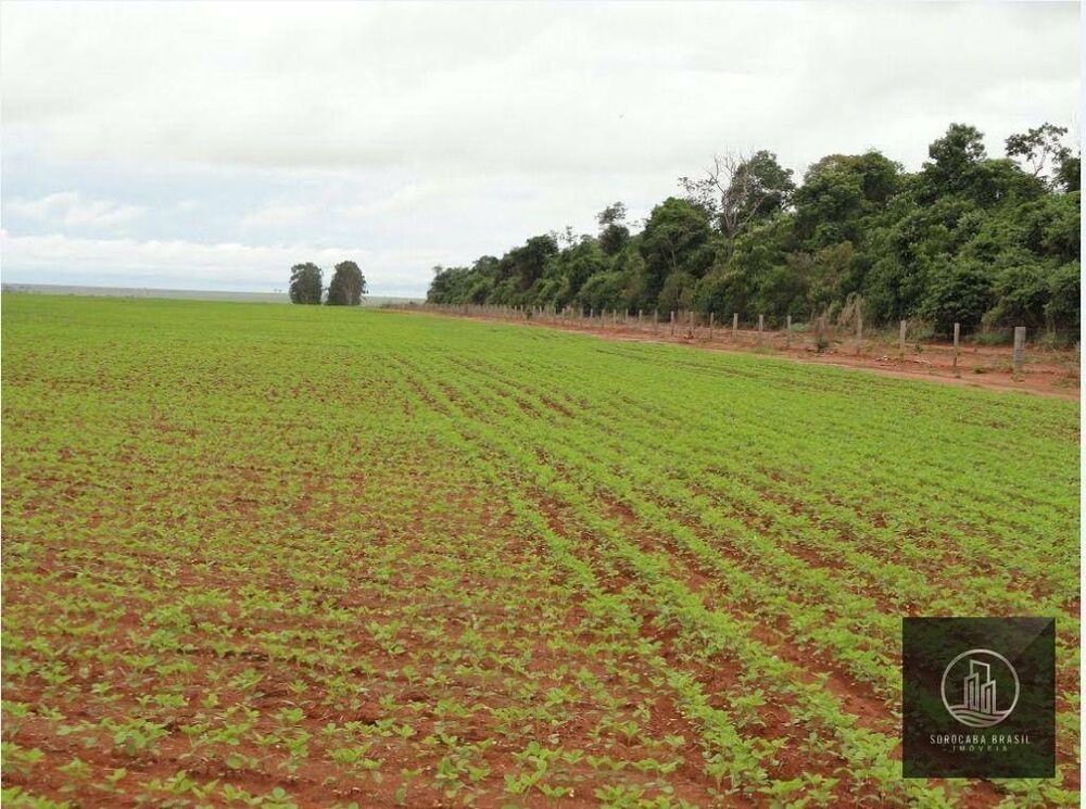 Fazenda, 89000 hectares - Foto 4