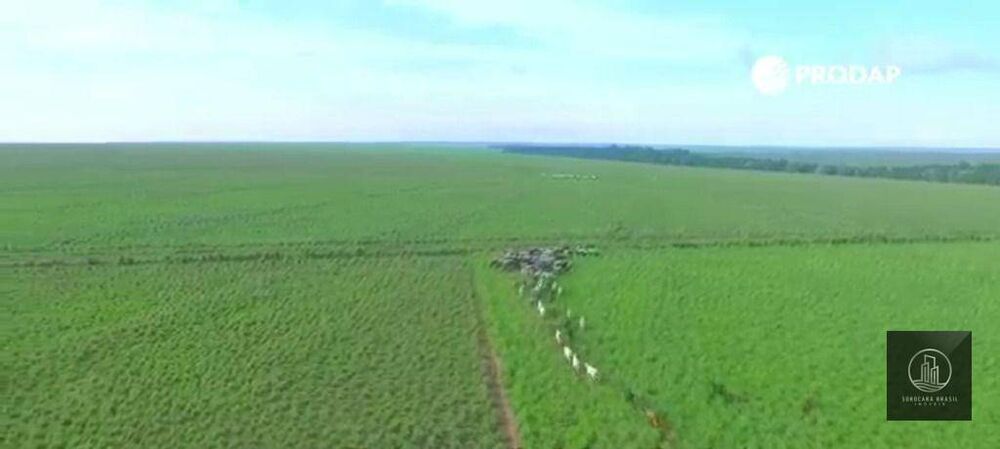 Fazenda, 89000 hectares - Foto 8