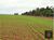 Fazenda, 89000 hectares - Foto 4