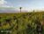 Fazenda, 4356 hectares - Foto 2