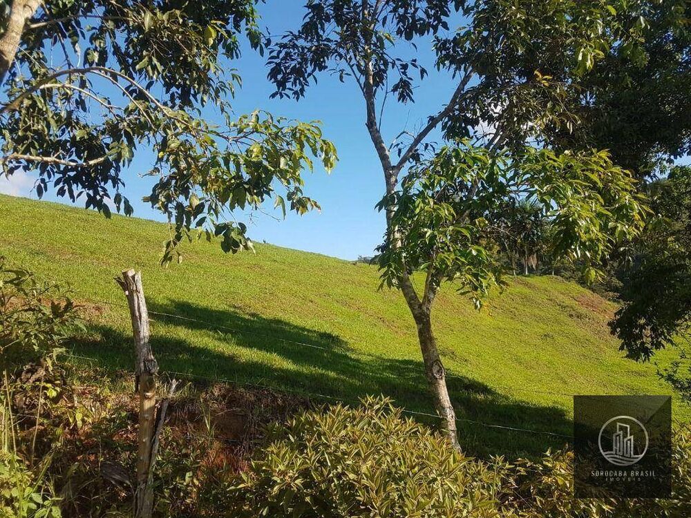 Fazenda, 20 hectares - Foto 5