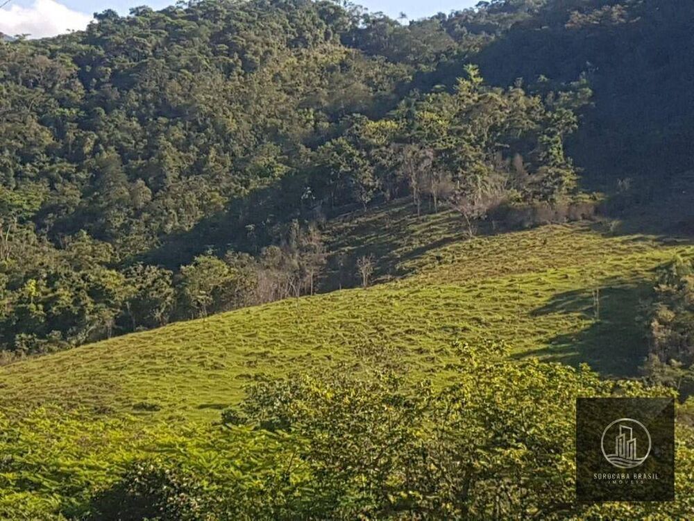 Fazenda, 20 hectares - Foto 1