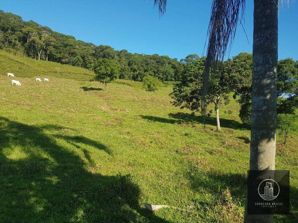 Fazenda, 20 hectares - Foto 7