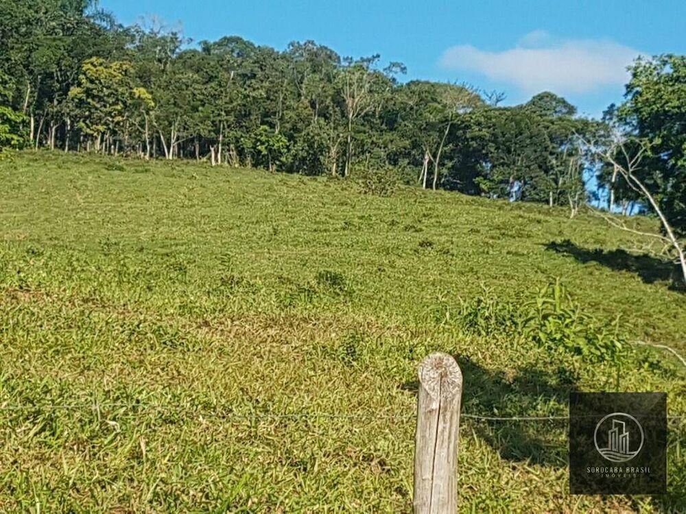 Fazenda, 20 hectares - Foto 4