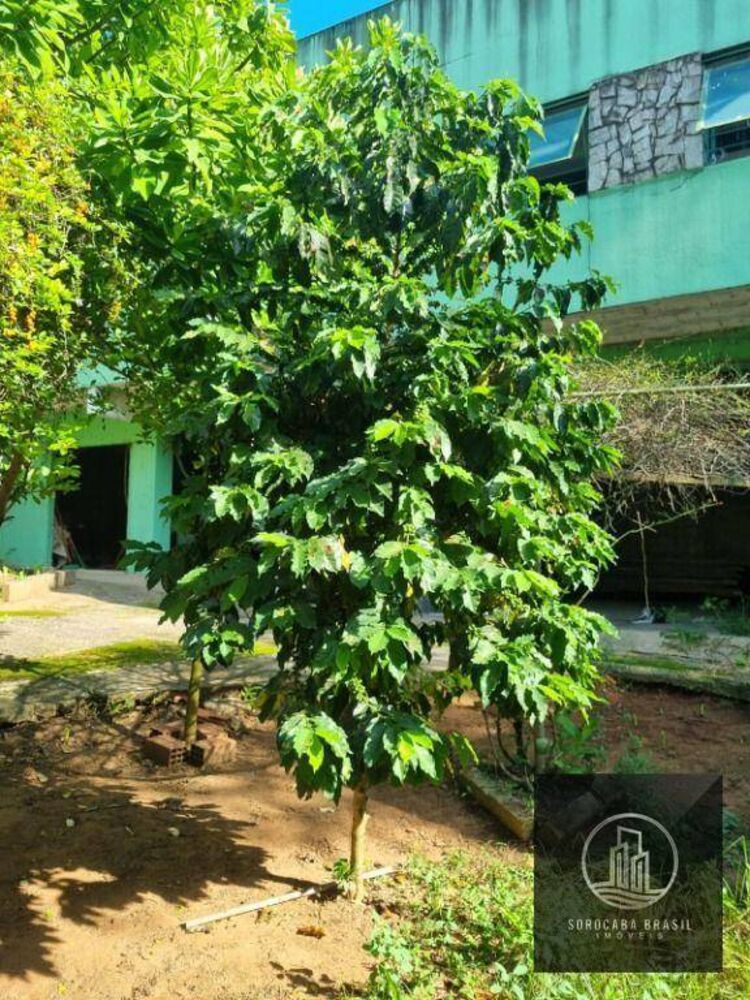 Terreno, 5400 m² - Foto 8