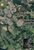 Terreno, 7 hectares - Foto 3