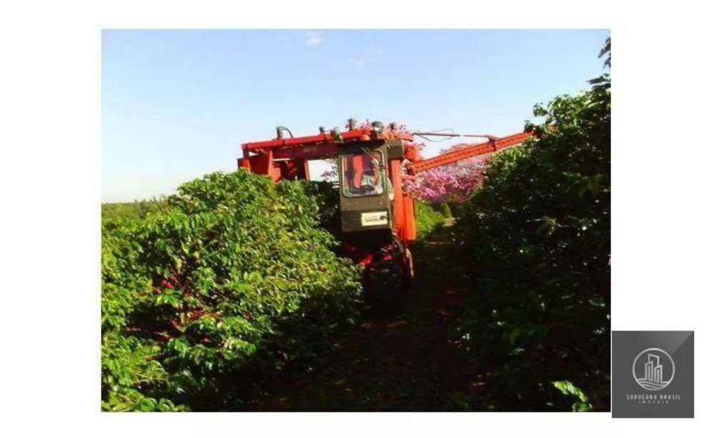 Fazenda à venda com 5 quartos, 2352M2 - Foto 2