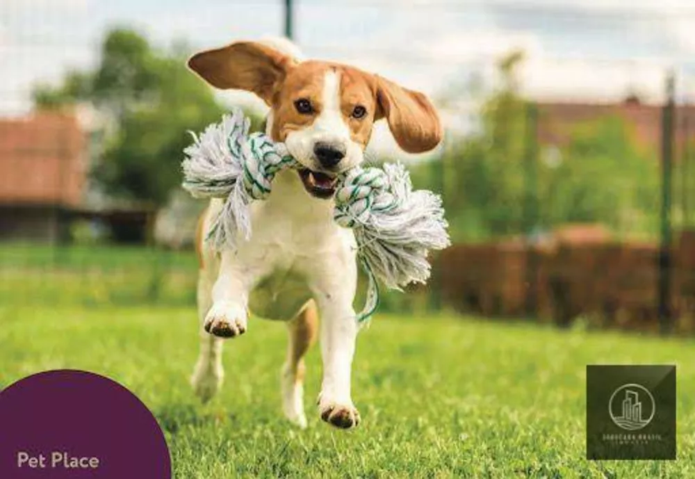 Apartamento, 2 quartos, 64 m² - Foto 7