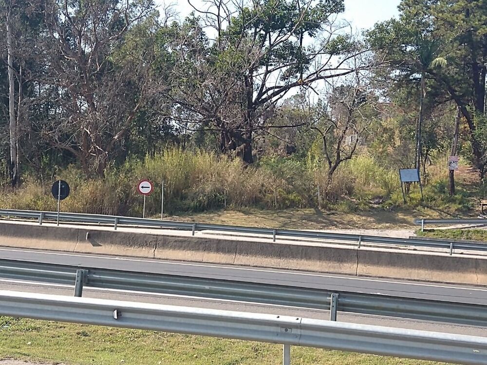 Terreno, 9400 m² - Foto 2