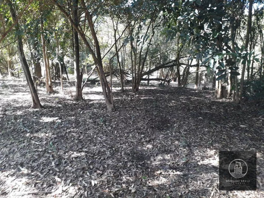 Sítio, 2 quartos, 1000 m² - Foto 2