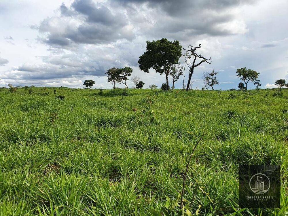 Fazenda à venda, 10210000M2 - Foto 4