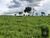 Fazenda, 1021 hectares - Foto 4